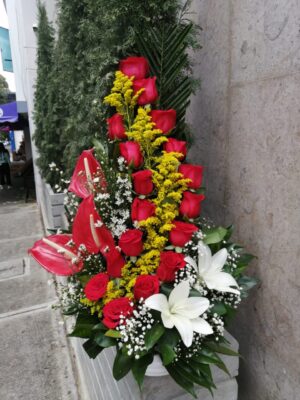 floristería en Bucaramanga. Llámanos al 3023608251 ó 3172402246. Encantados de hacer tu día el más feliz... Gracias por preferirnos 🌻💖