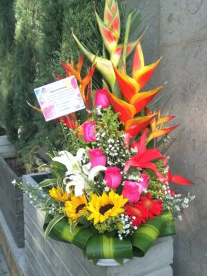floristería en Bucaramanga. Llámanos al 3023608251 ó 3172402246. Encantados de hacer tu día el más feliz... Gracias por preferirnos 🌻💖